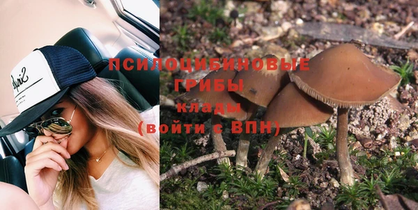 мескалин Бородино