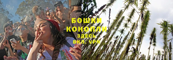 хмурый Бронницы